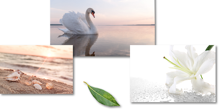 Afscheidsdrukwerk collectie