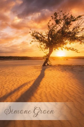 Zonsondergang in de duinen